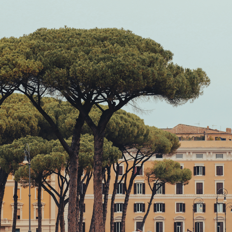 Roma